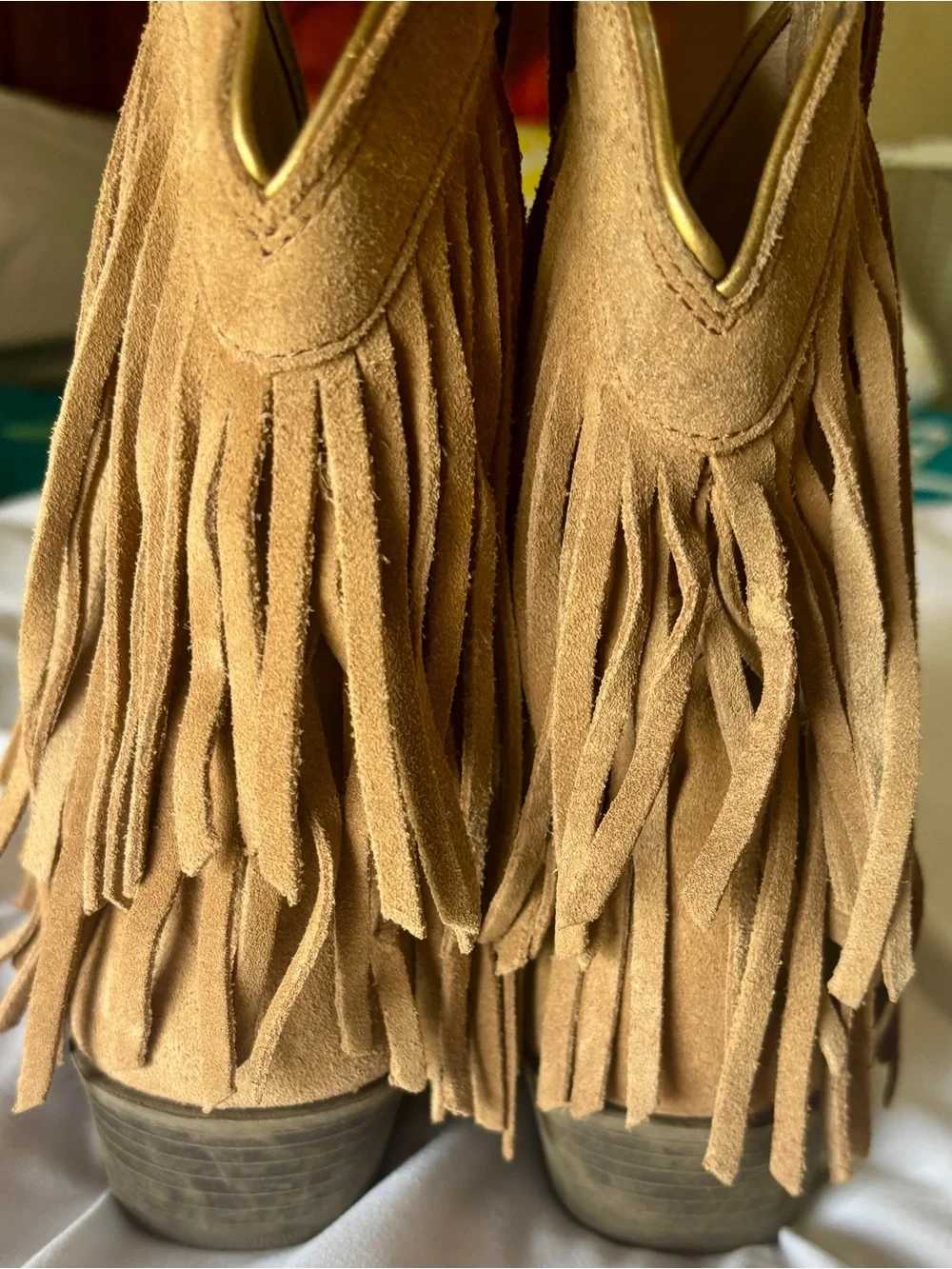 Ariat authentic youth